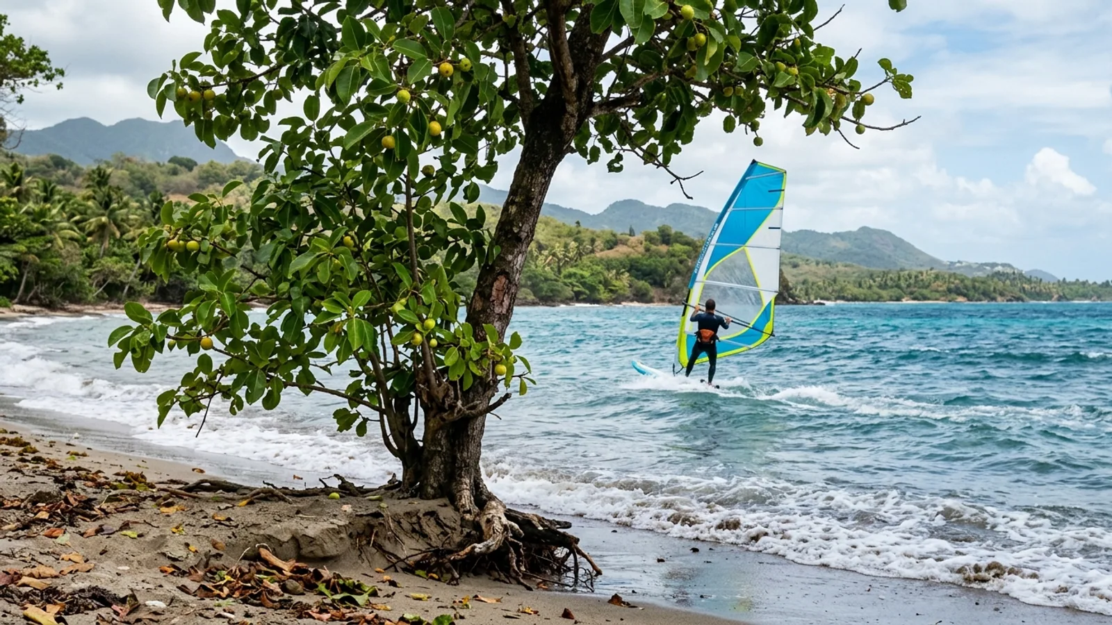 Reliefs volcaniques et forêt tropicale dans les Caraïbes, vue principale pour arbre dangereux guadeloupe