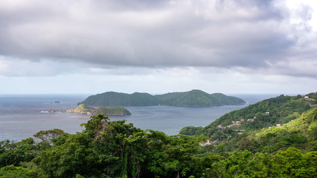 Sentier traversant une végétation tropicale humide, vue complémentaire pour cascade Couleuvre Martinique