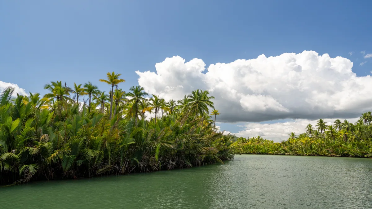 Hébergement tropical ouvert sur un paysage côtier caribéen, vue complémentaire pour hébergement Caraïbes voyage actif