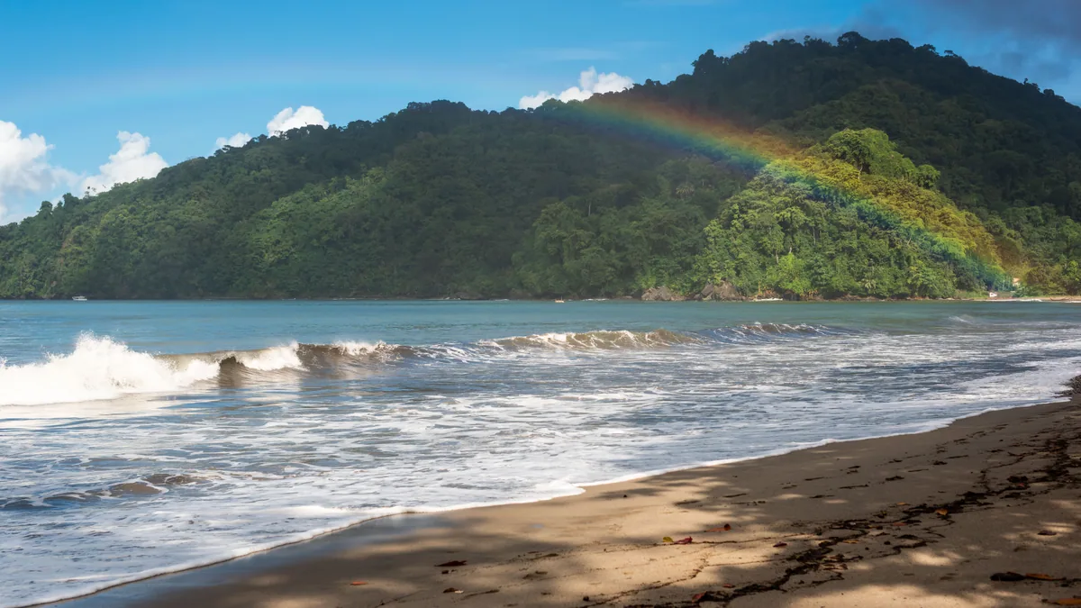 Côte tropicale et reliefs observés pendant un voyage actif, vue complémentaire pour guadeloupe
