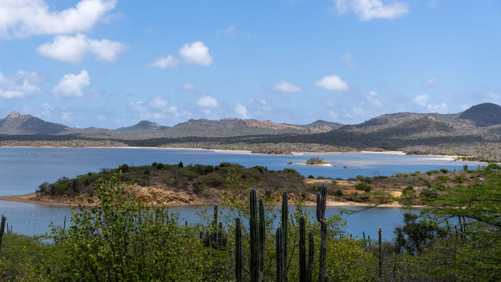 Île caribéenne entre mer, végétation et reliefs, vue principale pour guadeloupe