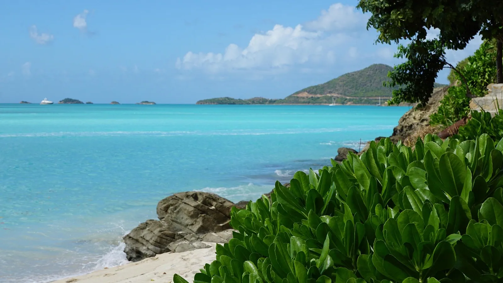 Île caribéenne entre mer, végétation et reliefs, vue principale pour location voiture Martinique conseils