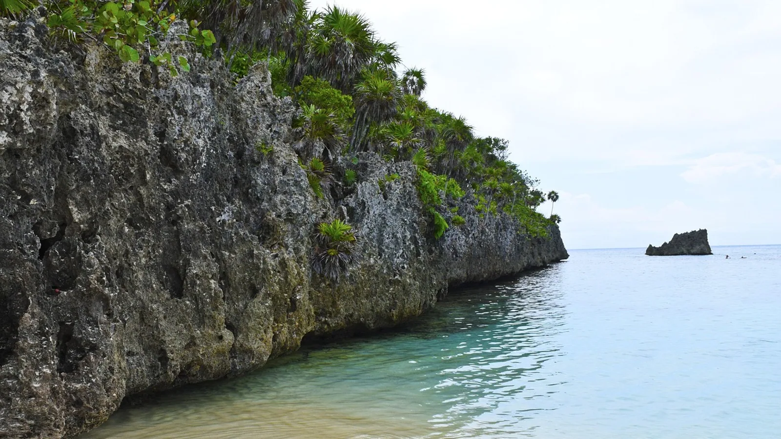Île caribéenne entre mer, végétation et reliefs, vue principale pour Martinique en famille activités