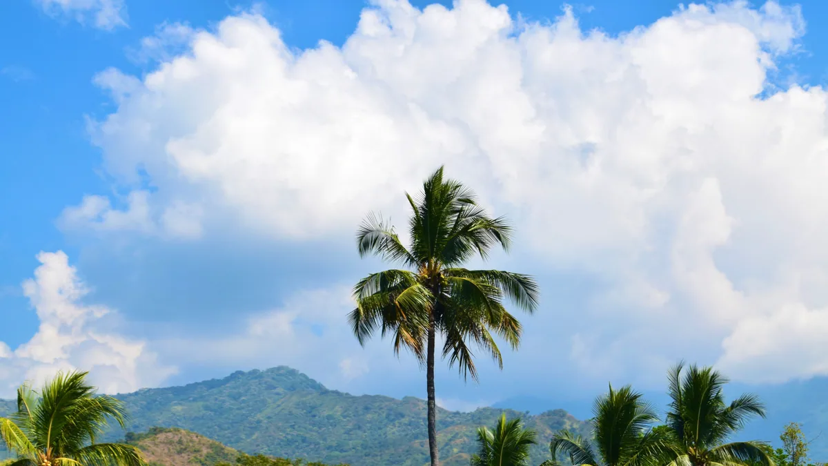 Côte tropicale et reliefs observés pendant un voyage actif, vue complémentaire pour Martinique nord ou sud