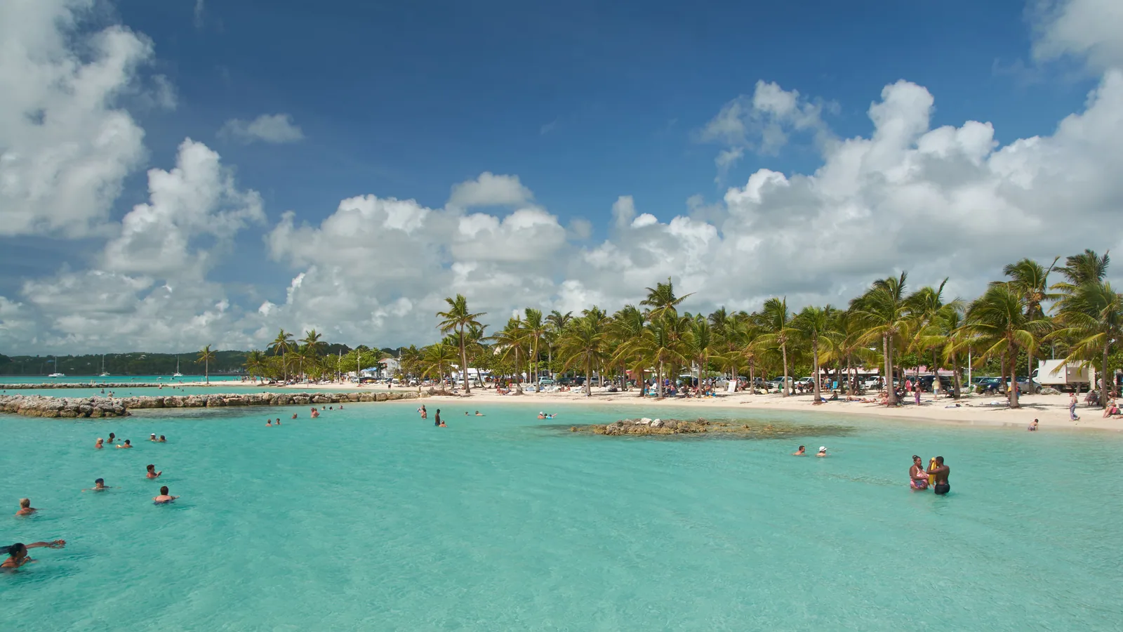 Île caribéenne entre mer, végétation et reliefs, vue principale pour Martinique ou Guadeloupe