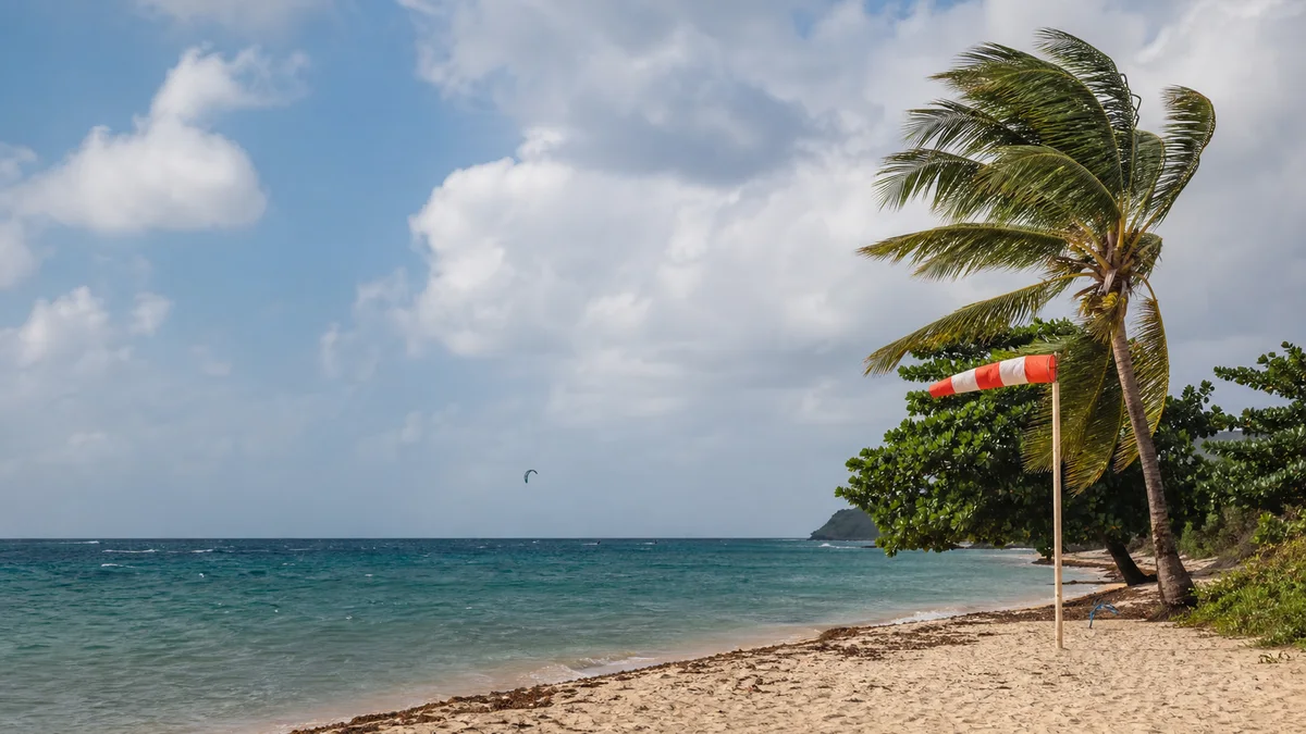 Conditions de vent sur une plage tropicale de Martinique, vue complémentaire pour meilleure période kitesurf Martinique