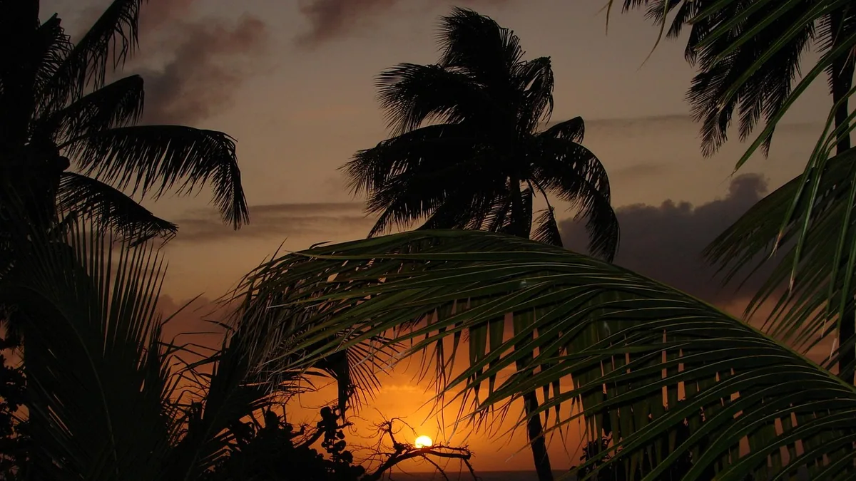 Sentier traversant une végétation tropicale humide, vue complémentaire pour randonnée Caraïbes îles