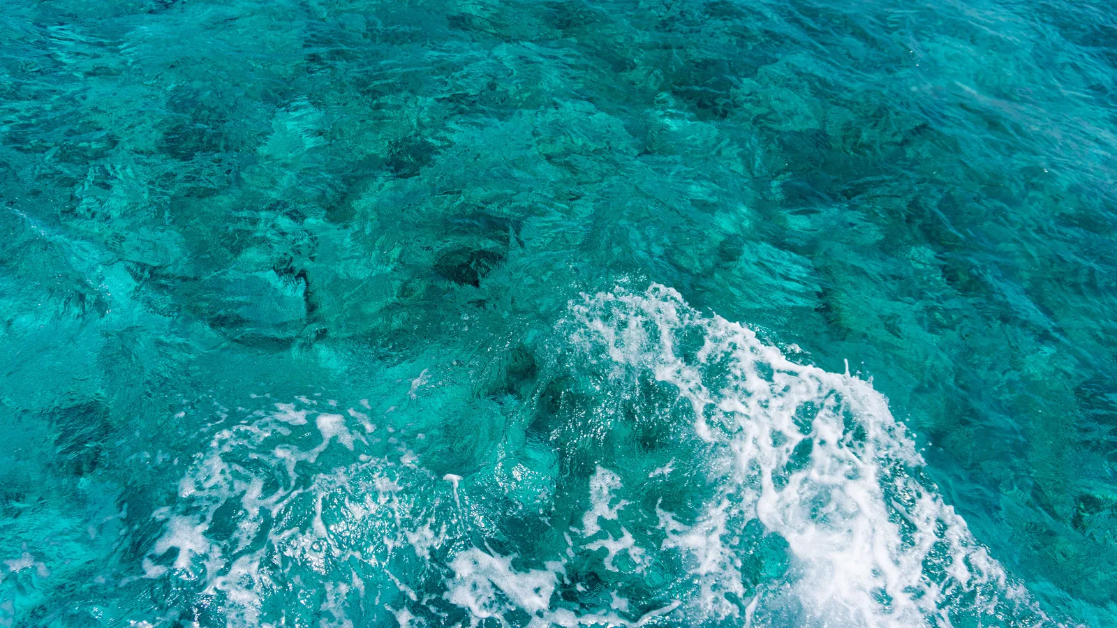 Exploration en snorkeling dans une mer caribéenne transparente, vue principale pour plongée Martinique
