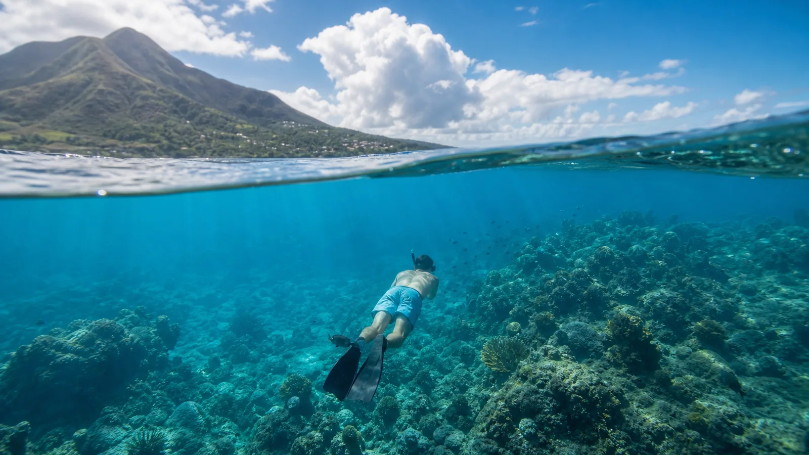 Snorkeling dans une eau claire en Martinique, vue principale pour snorkeling Martinique
