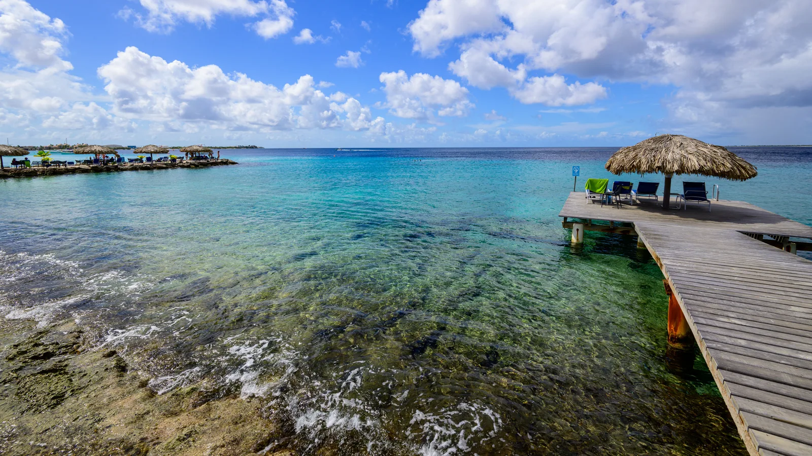 Exploration en snorkeling dans une mer caribéenne transparente, vue principale pour voir tortues Martinique